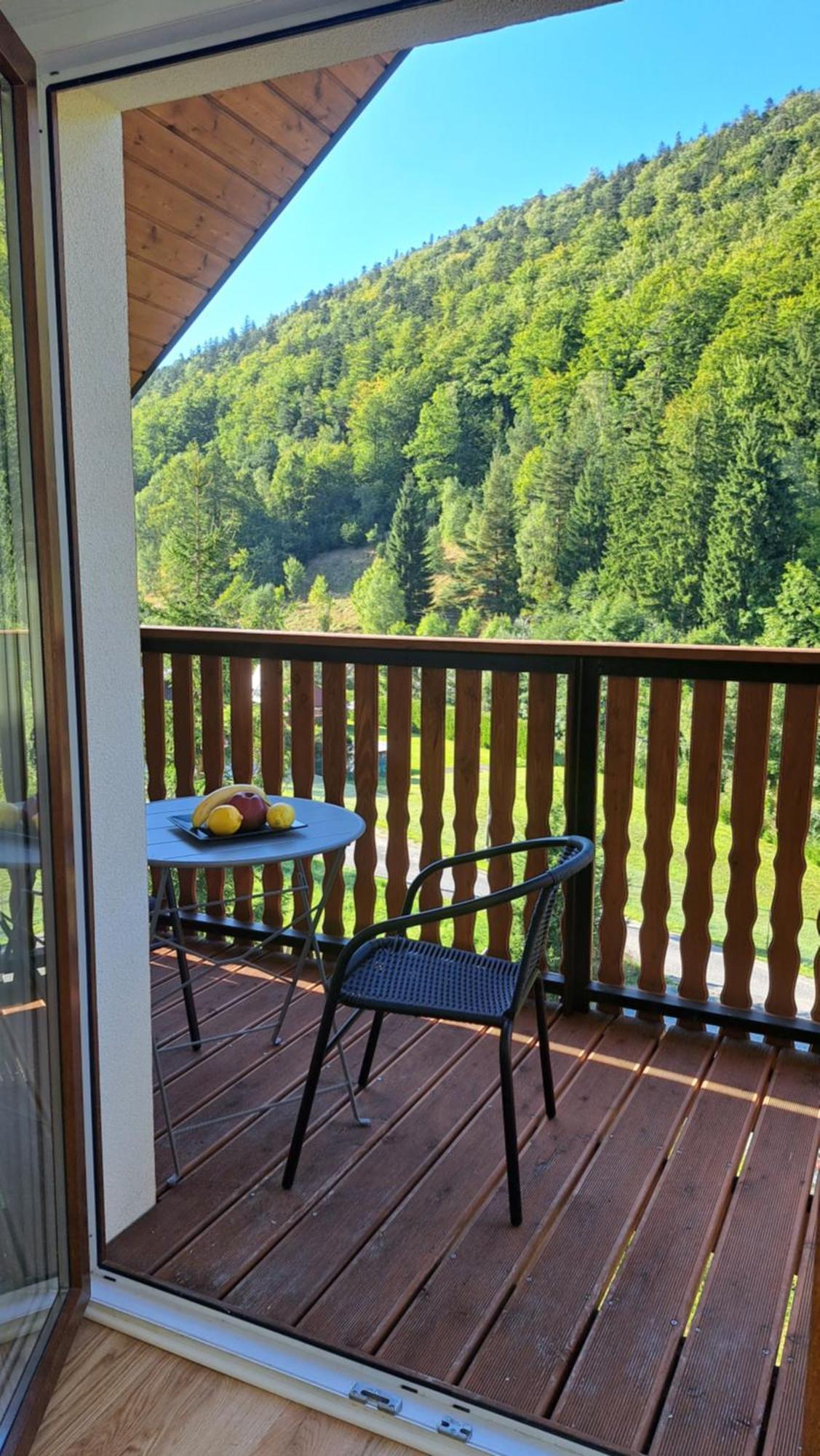 Nowe Sudecka Perla Nad Gorskim Potokiem W Willi Sowiej Apartment Stronie Slaskie