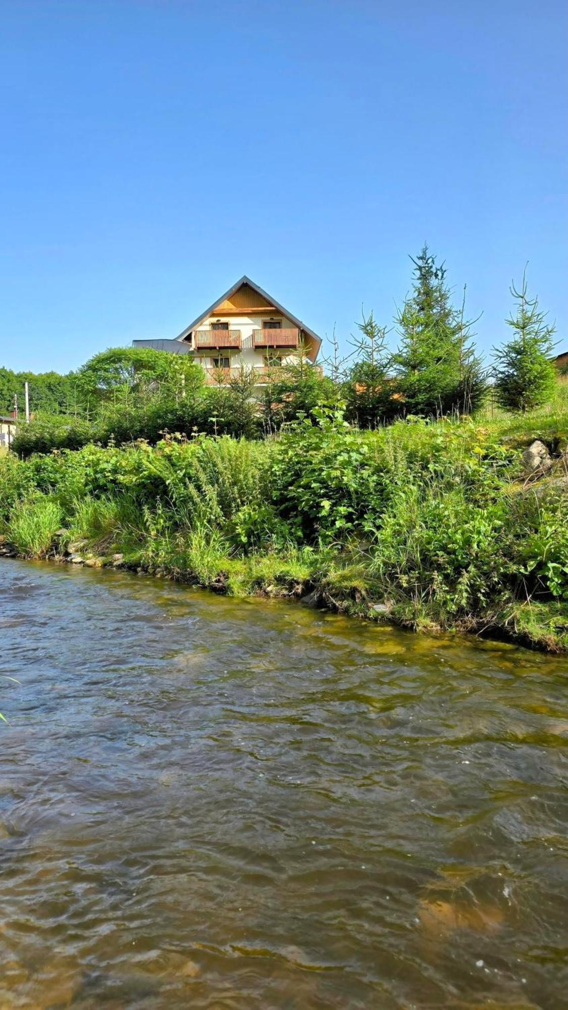 Nowe Sudecka Perla Nad Gorskim Potokiem W Willi Sowiej Apartment Stronie Slaskie